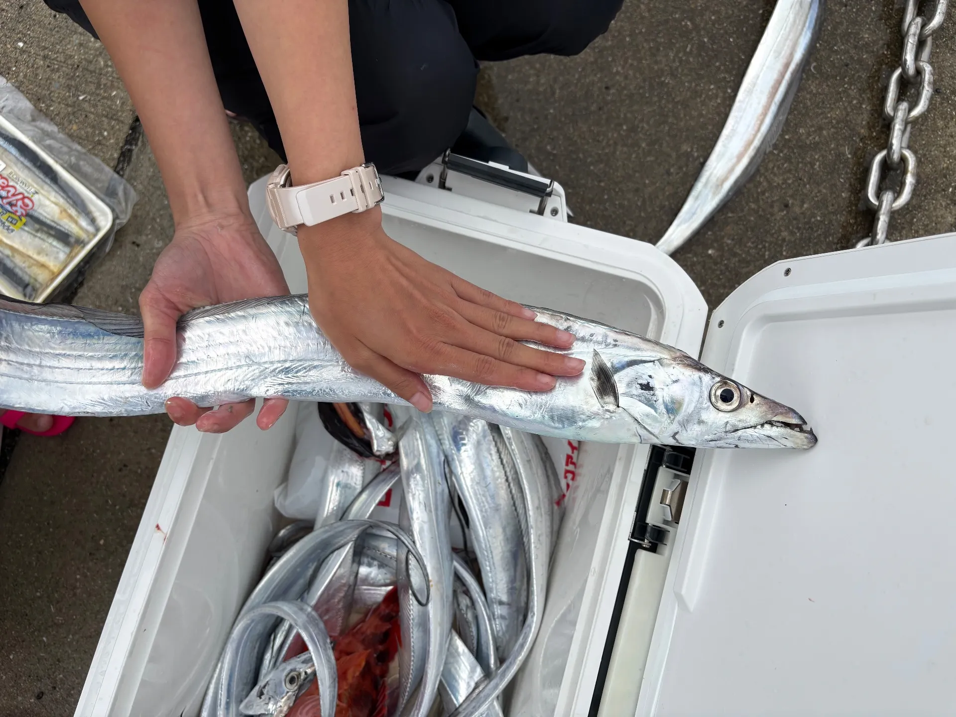 太刀魚&タイラバ便