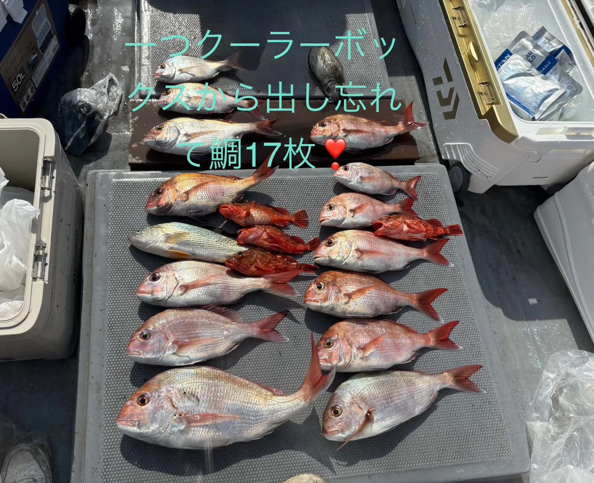 4月18日鯛ラバ釣果