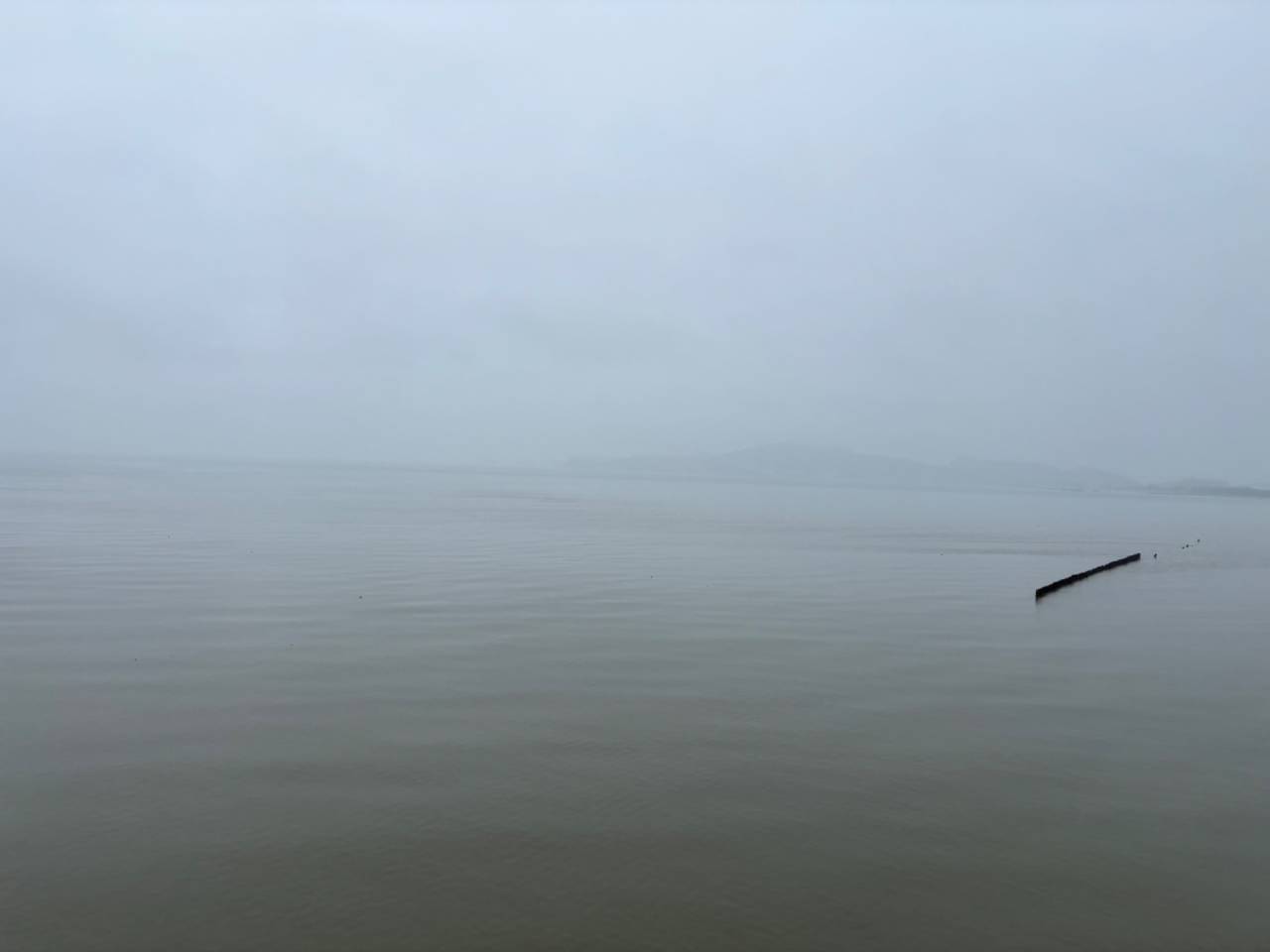 台風🌀