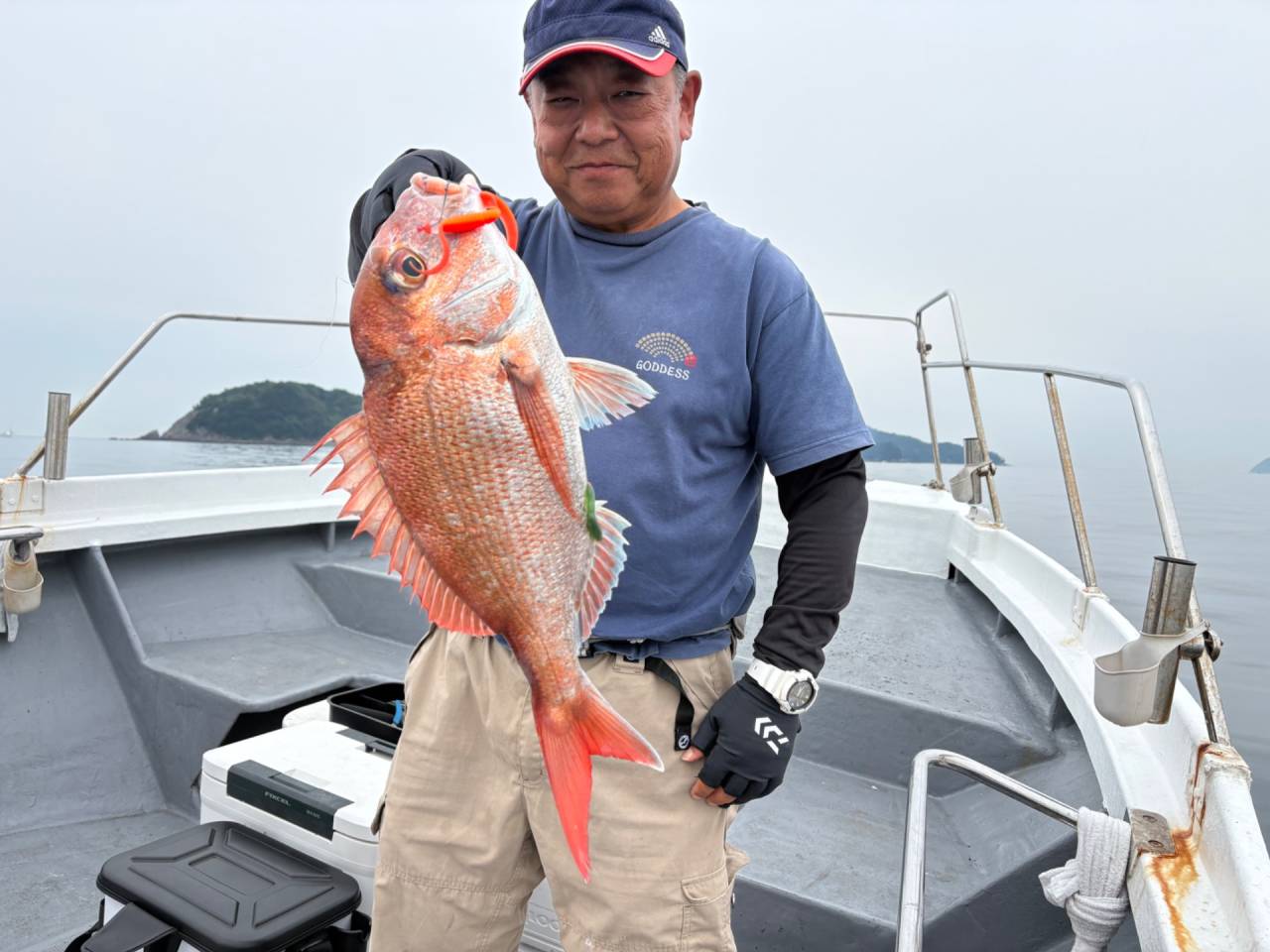 タイラバ釣果
