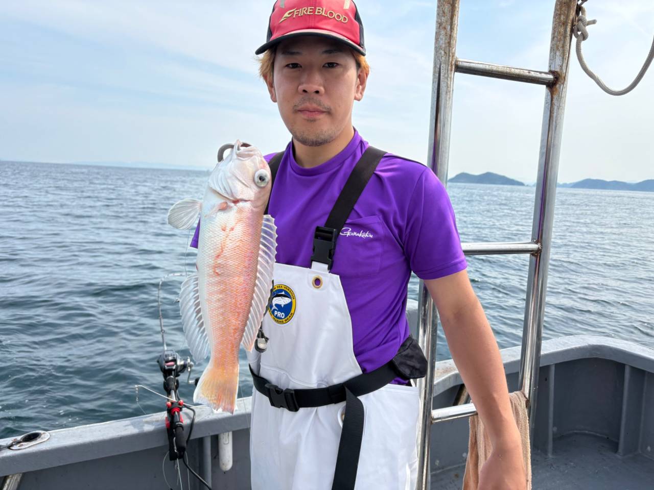 白甘鯛便釣果！