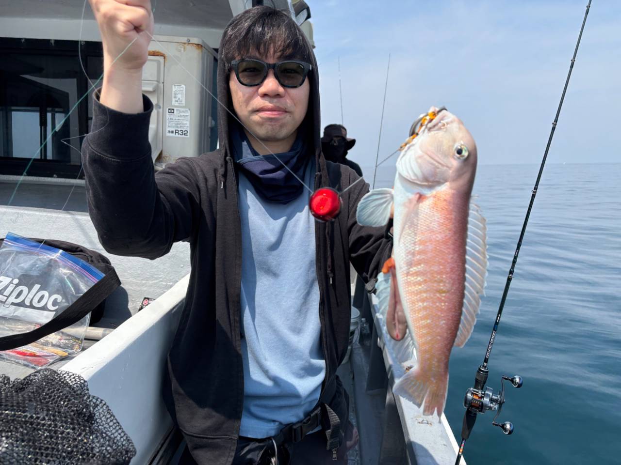 白甘鯛便釣果！