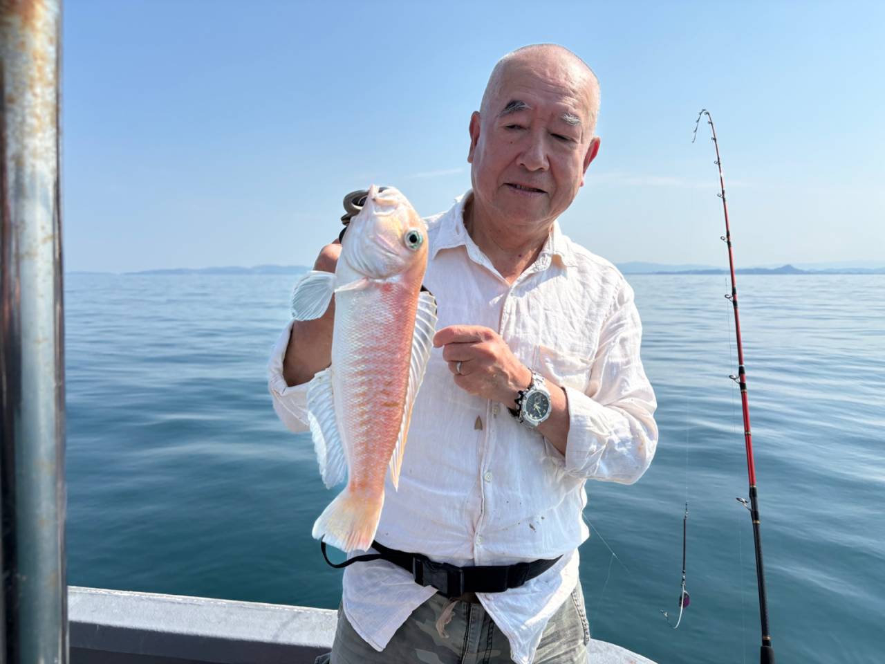 白甘鯛便釣果