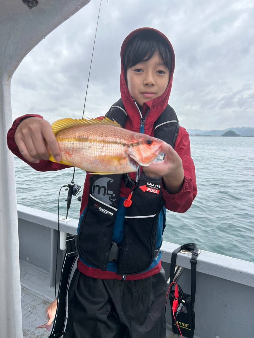 落とし込み釣果！