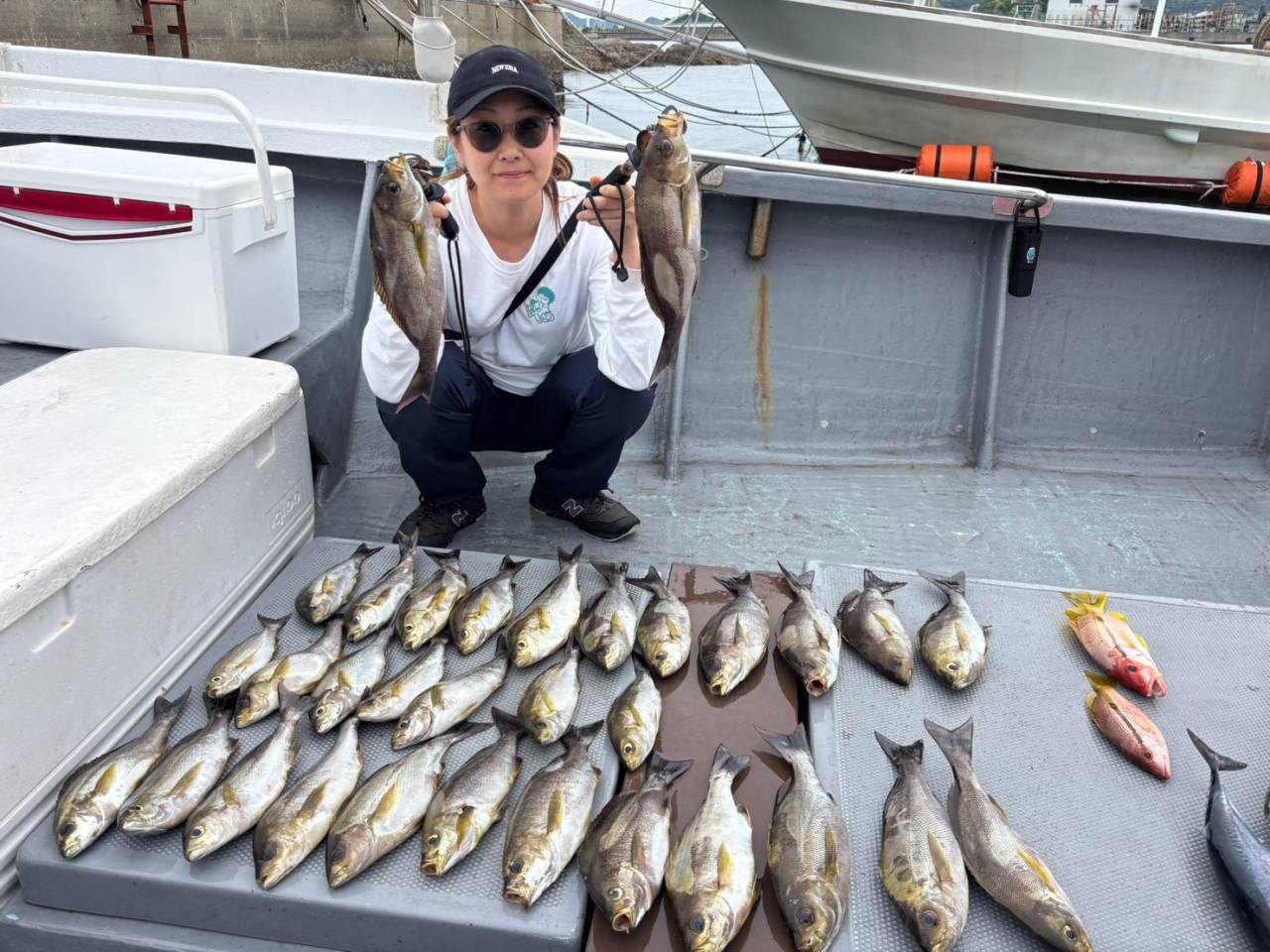 落とし込み釣果！