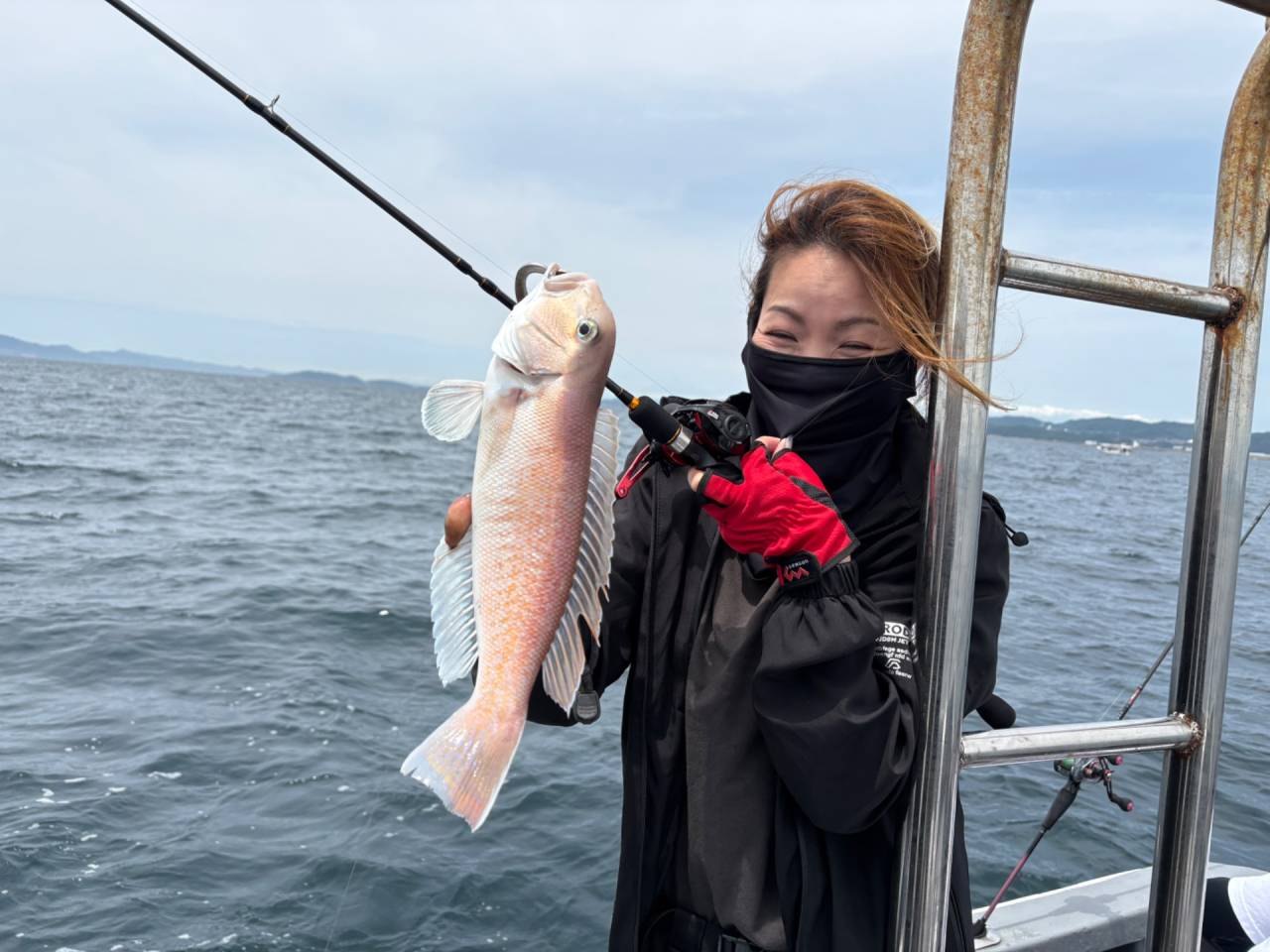 タイラバ便釣果