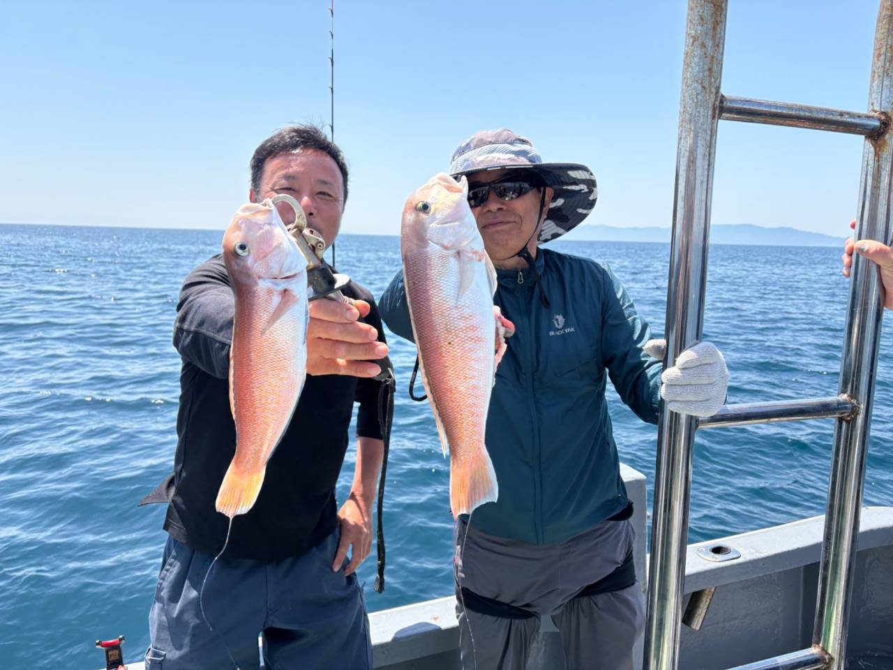 白甘鯛釣果！