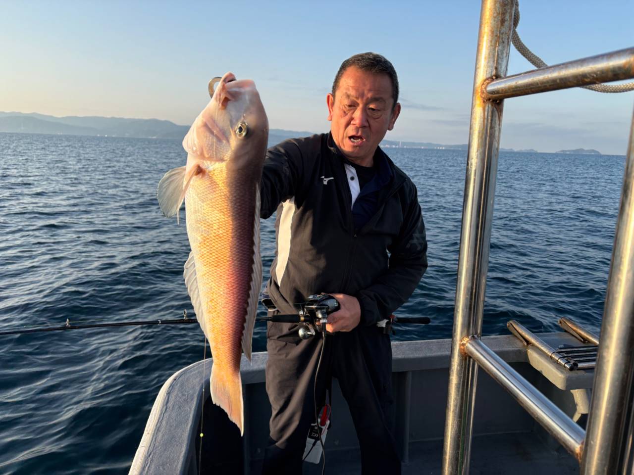 白甘鯛釣果！
