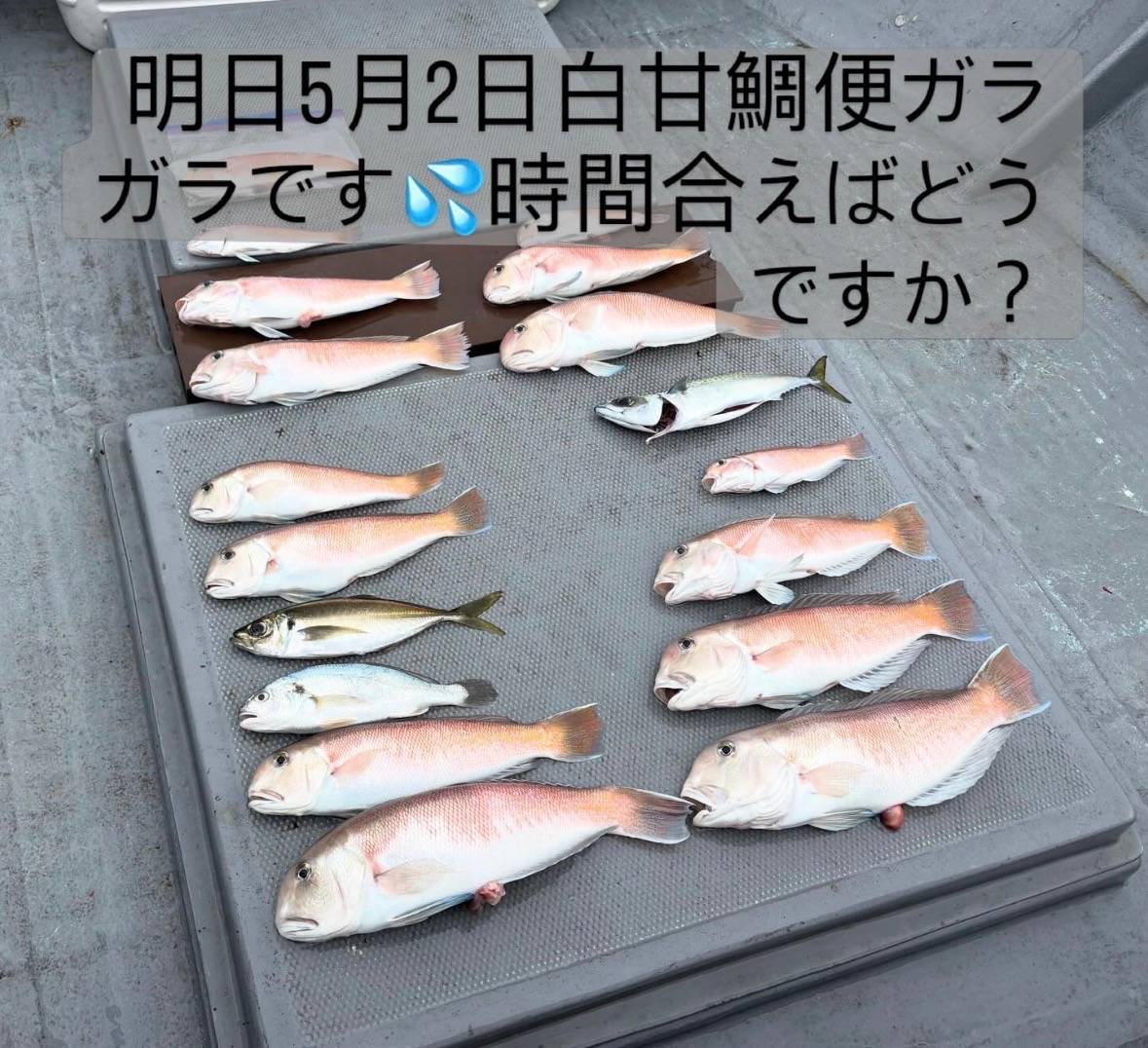 予約募集‼️
