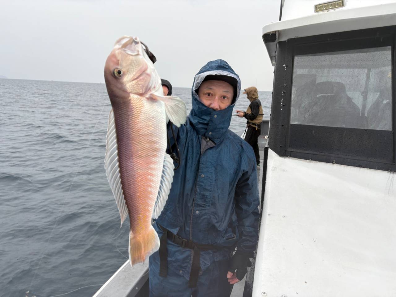白甘鯛&アマラバ釣果