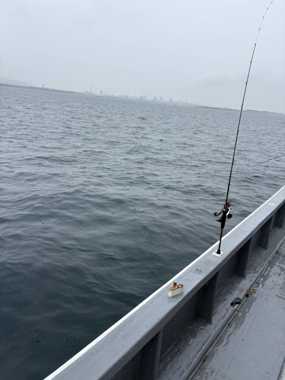 白甘鯛&アマラバ釣果