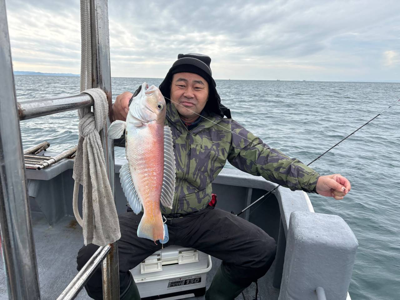 11月12日太刀魚&白甘鯛