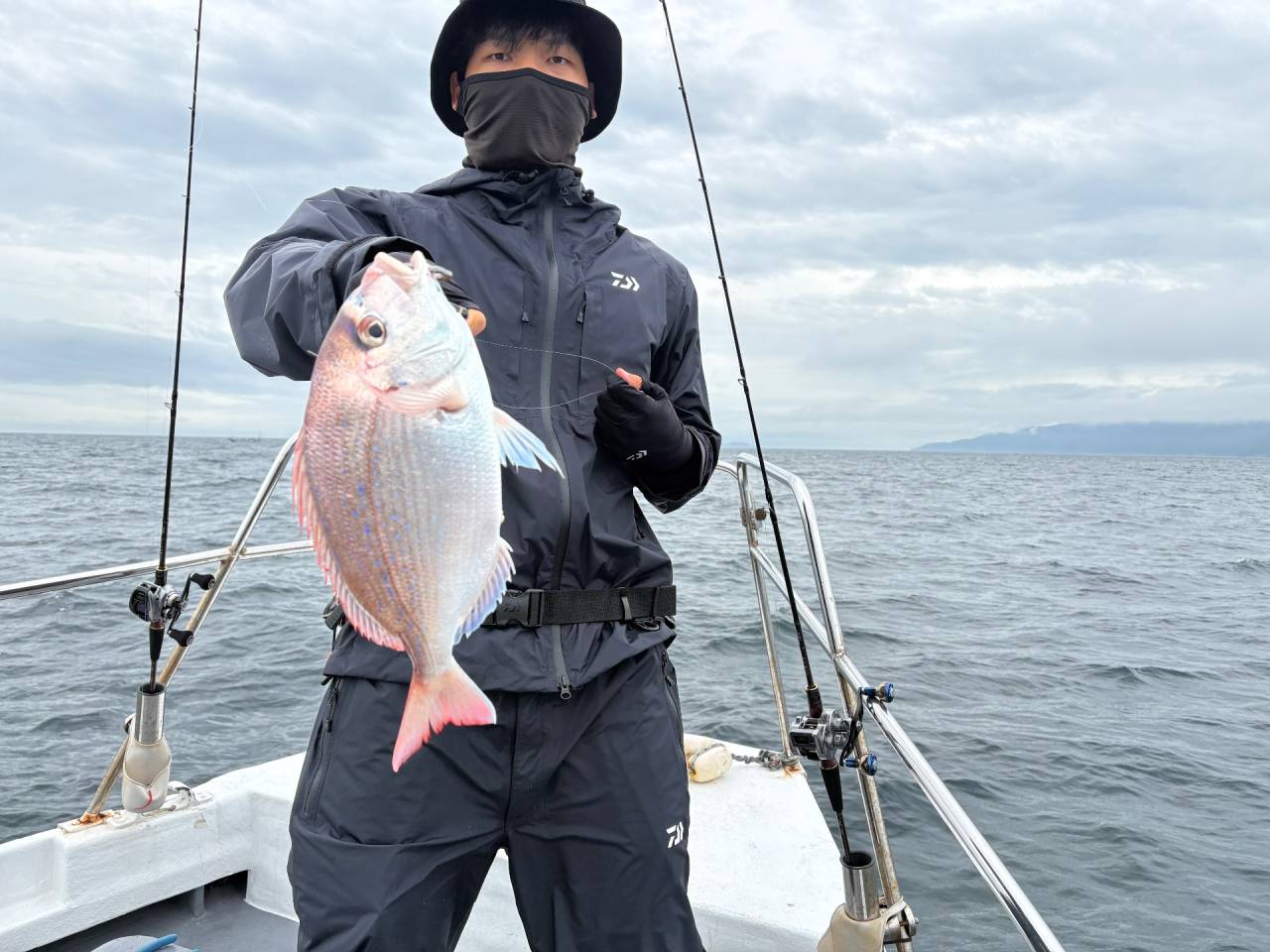 鯛ラバ便！