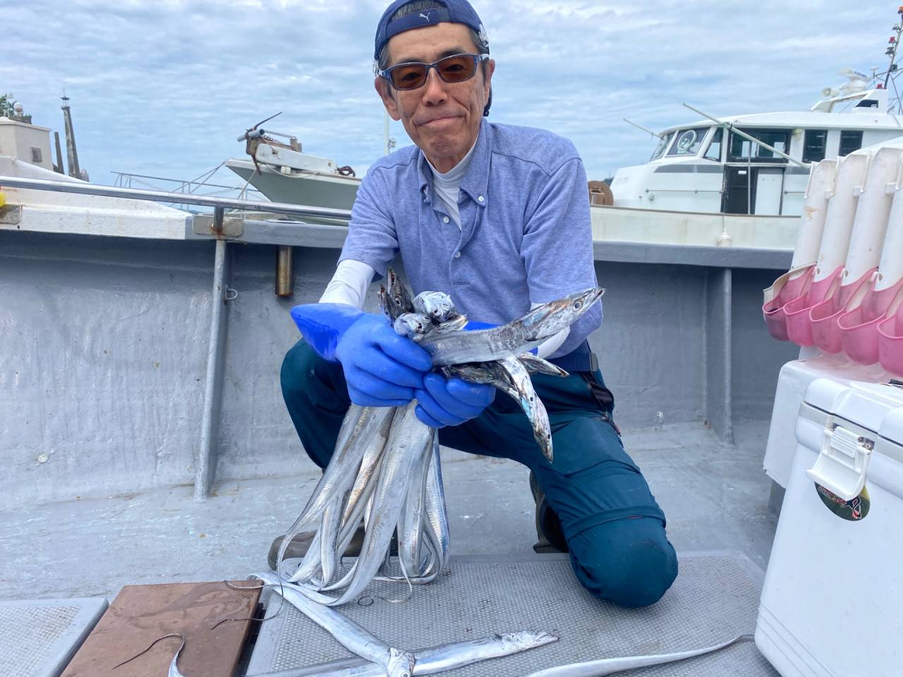 太刀魚調査❣️