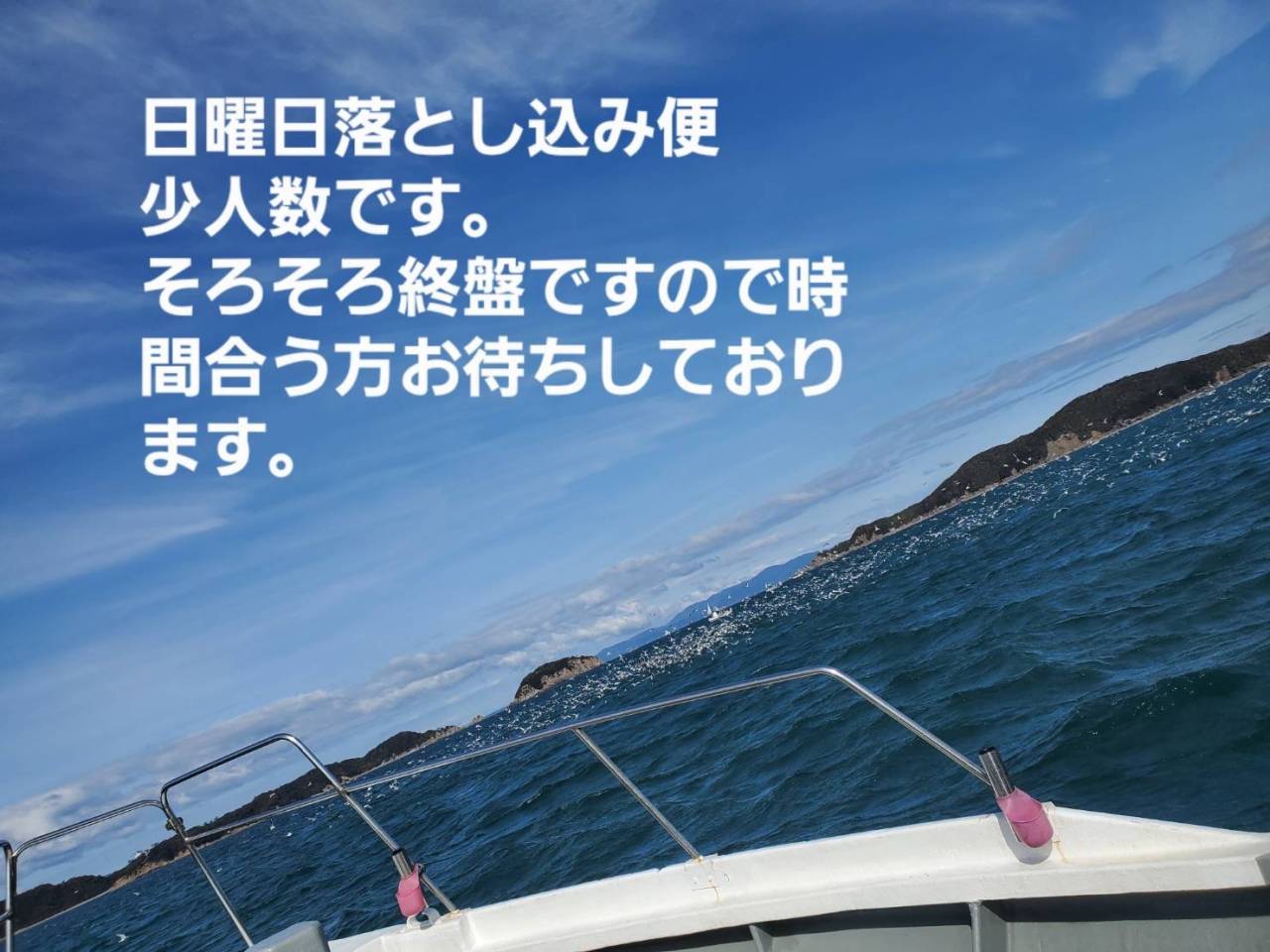 募集❣️