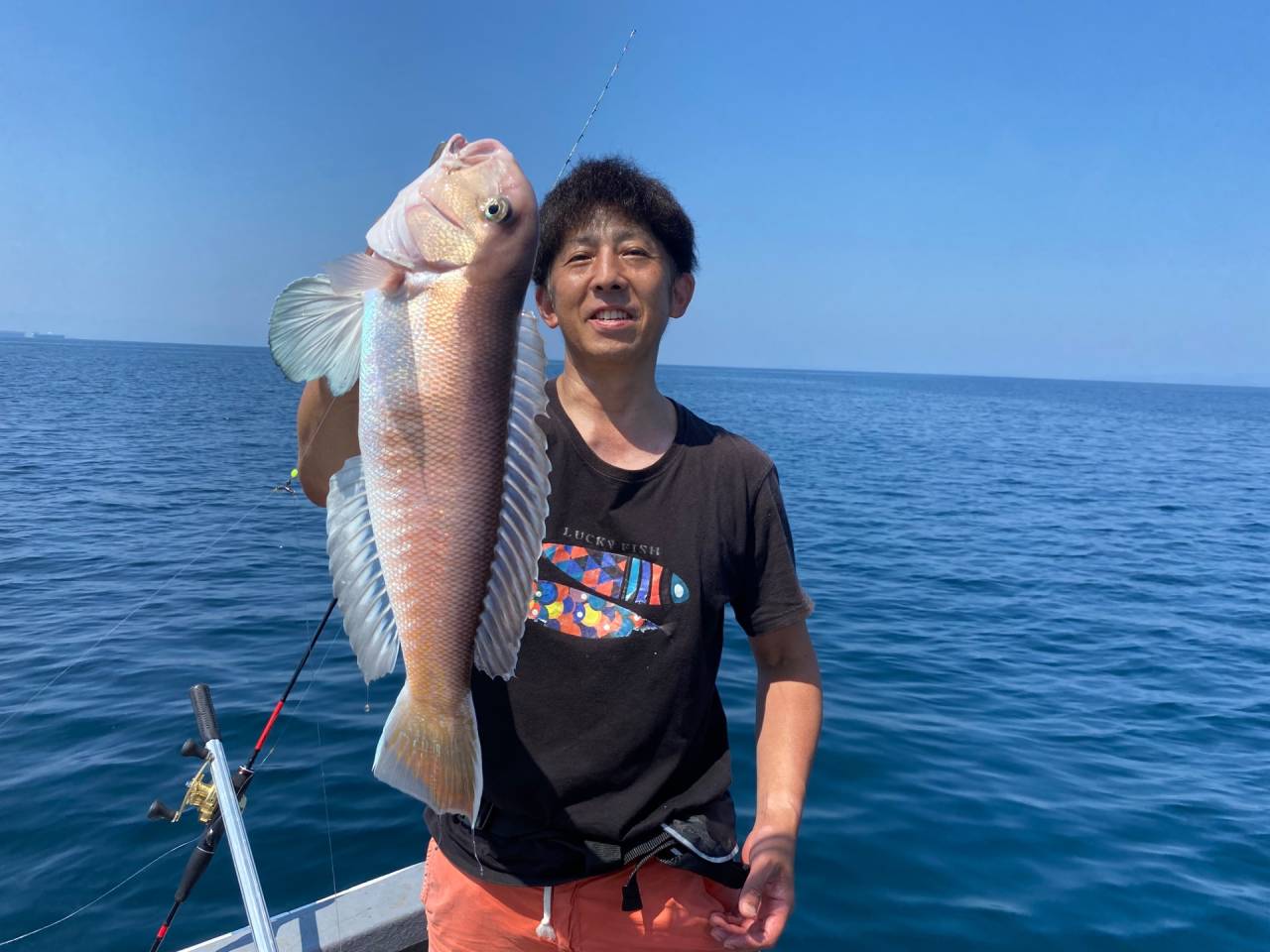 天秤白甘鯛便