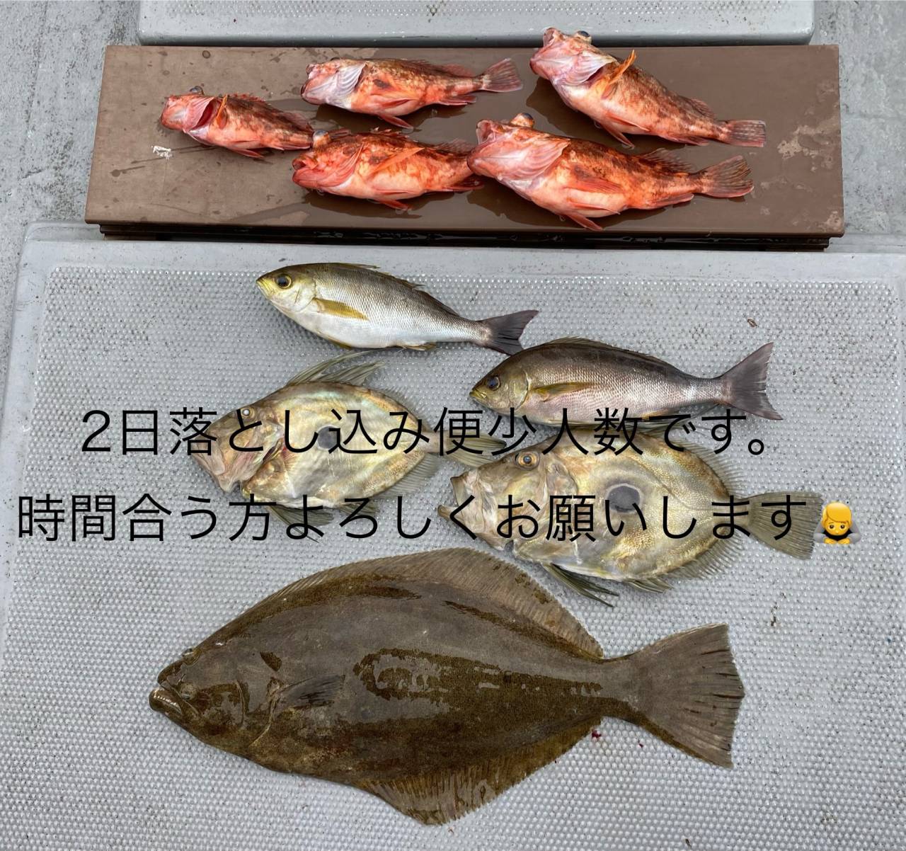 2日落とし込み便少人数につき募集‼️