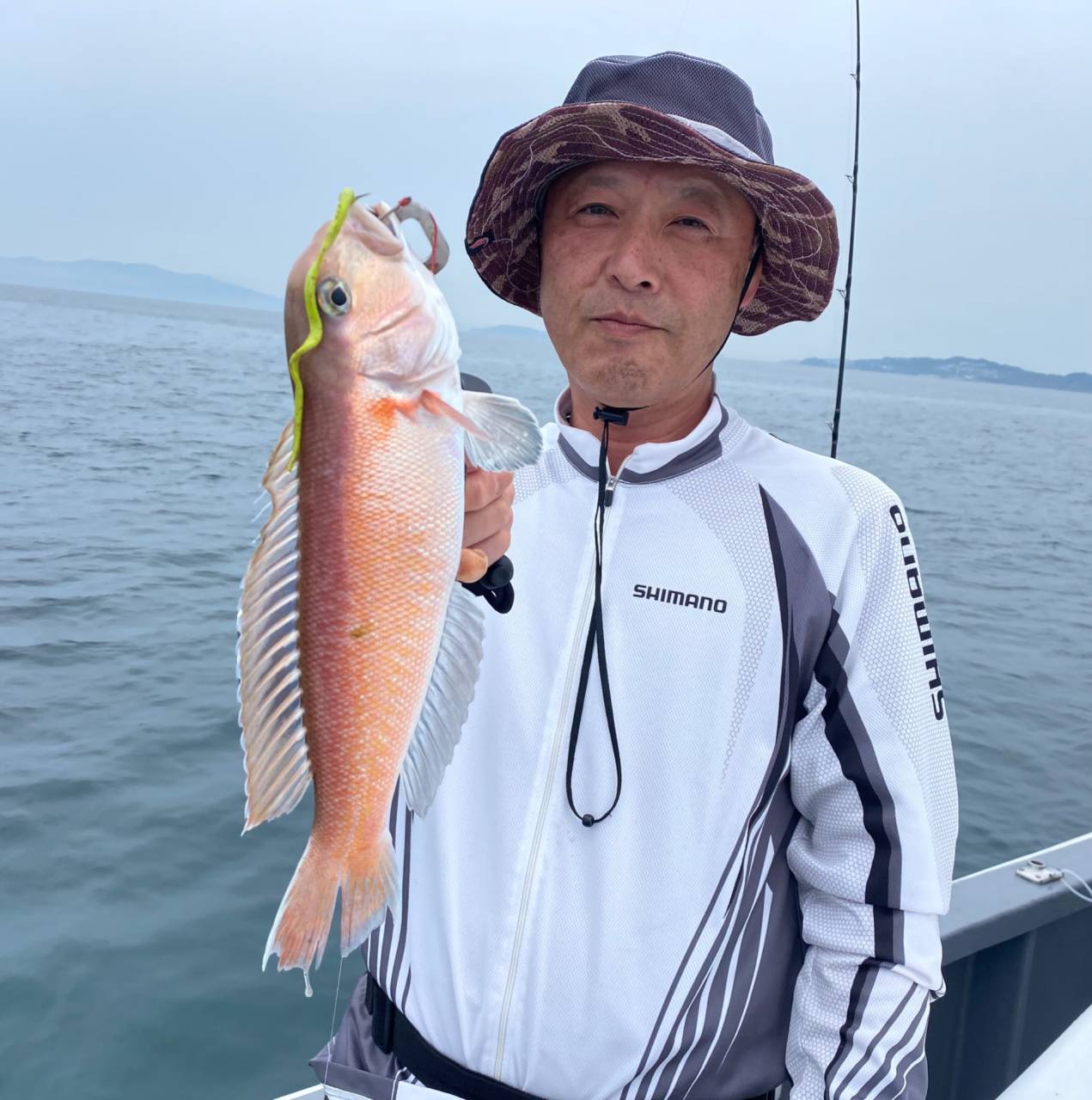 アマラバ便