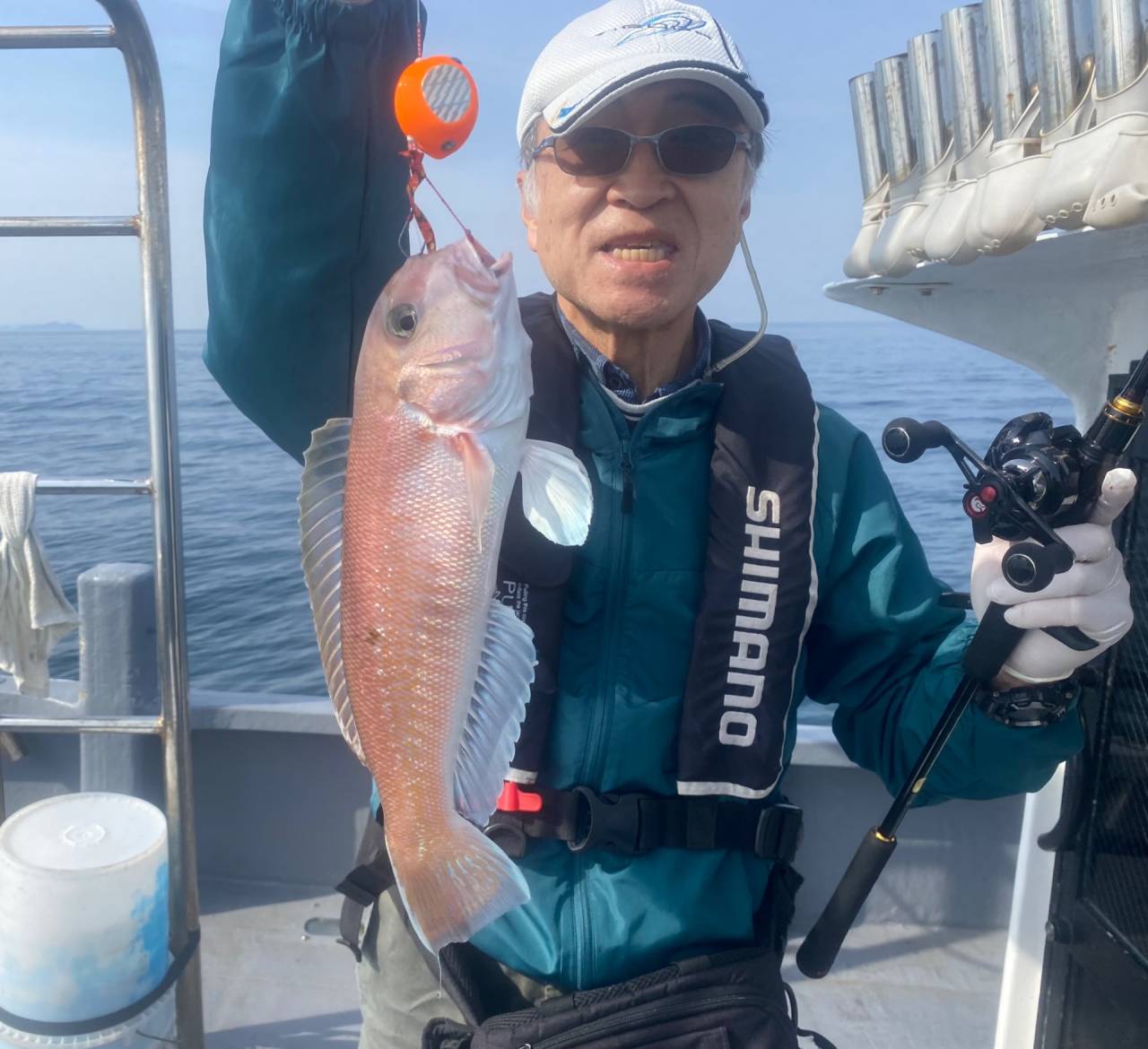 白甘鯛便❣️