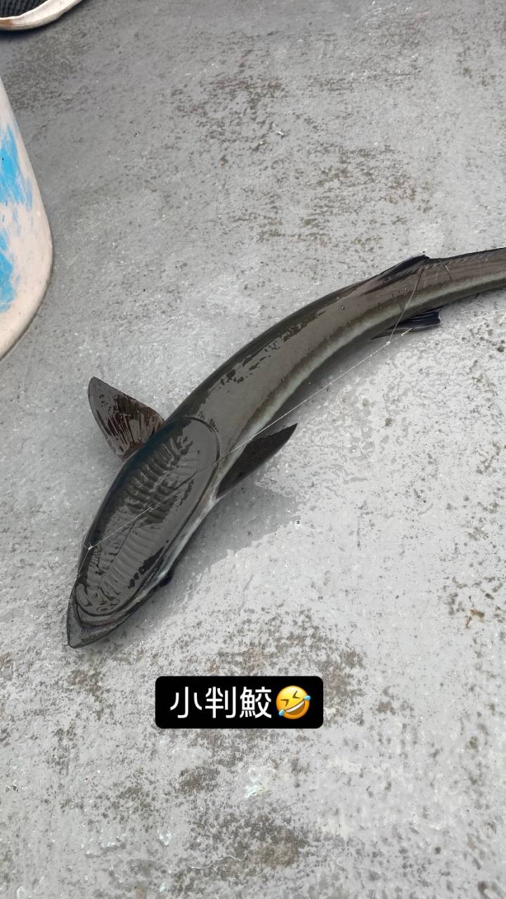 クログチ&カワハギ便で出船❣️