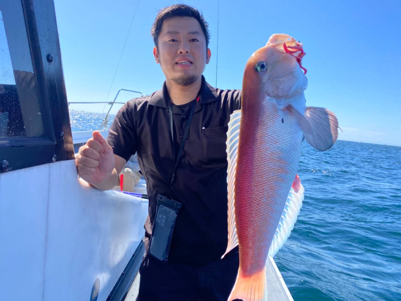 甘ラバにて白甘鯛便❣️