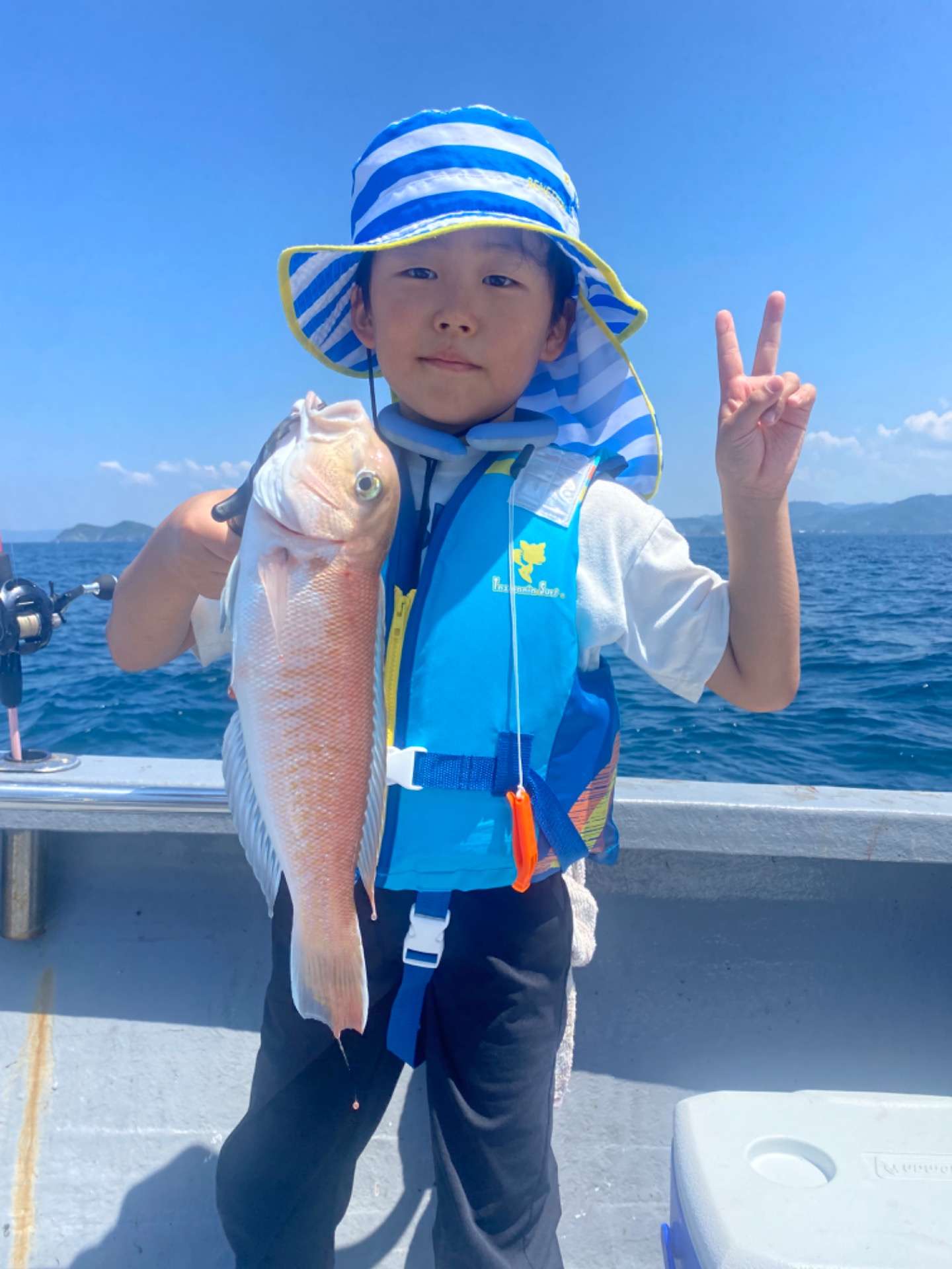 白甘鯛便❣️