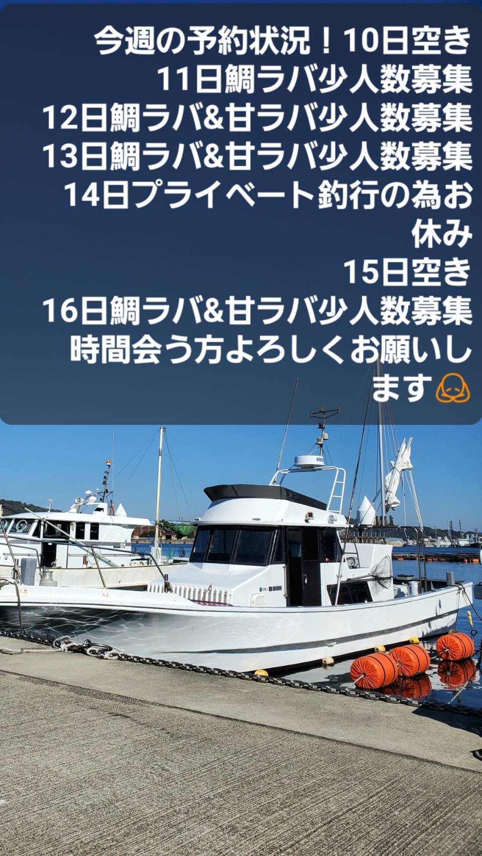 今週の予約状況❣️