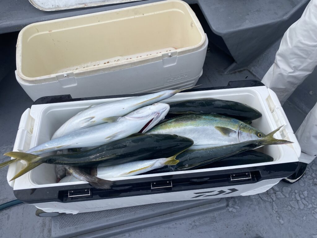 ジギング＆飲ませ便❣️ 2月9日