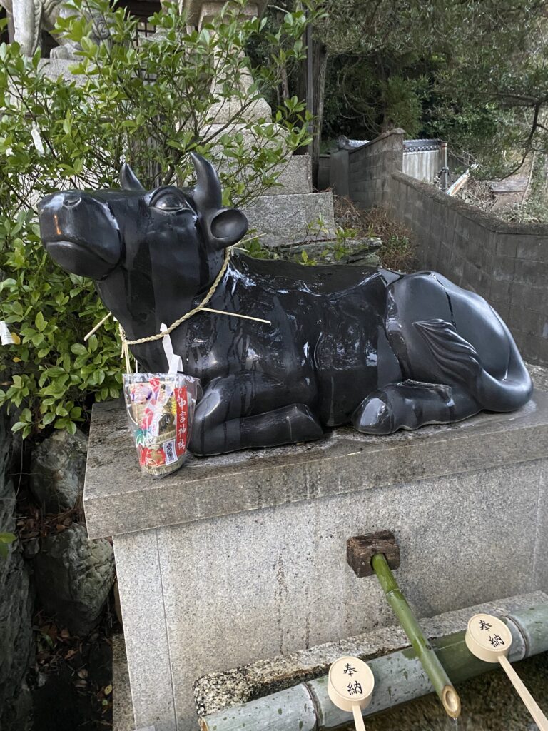 恵比寿様❣️