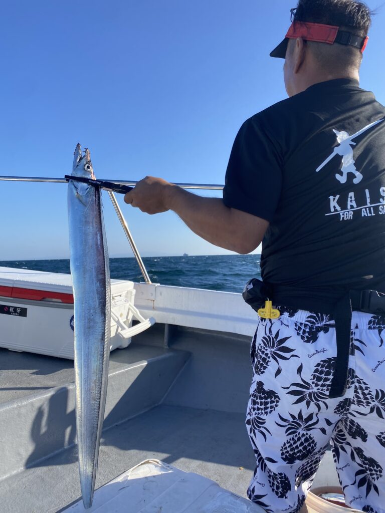 太刀魚便！ 9月29日