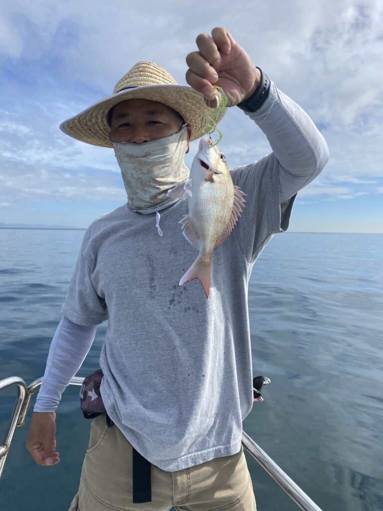 鯛ラバ便❣️ 7月30日