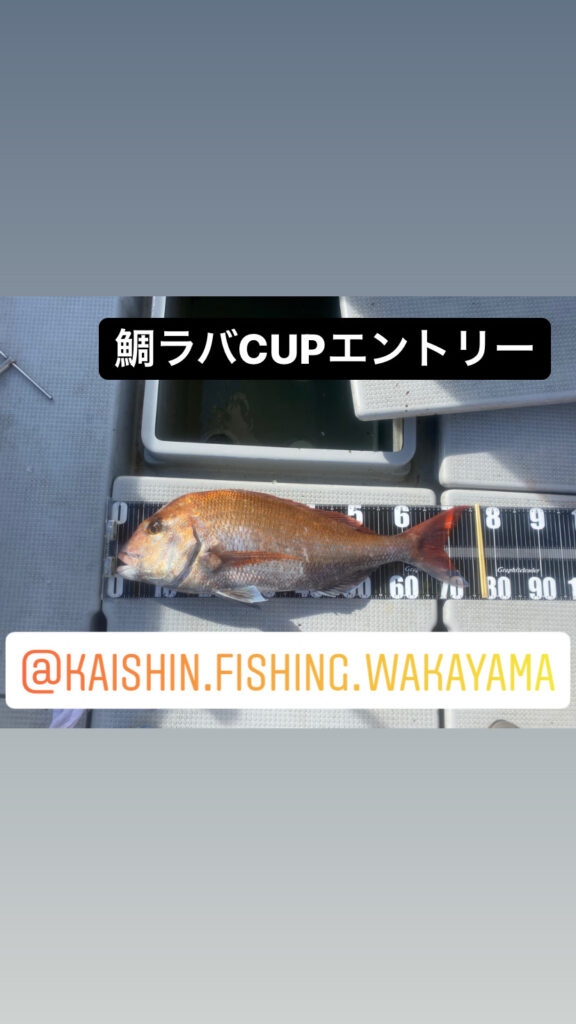鯛ラバCUP開催のお知らせ❣️