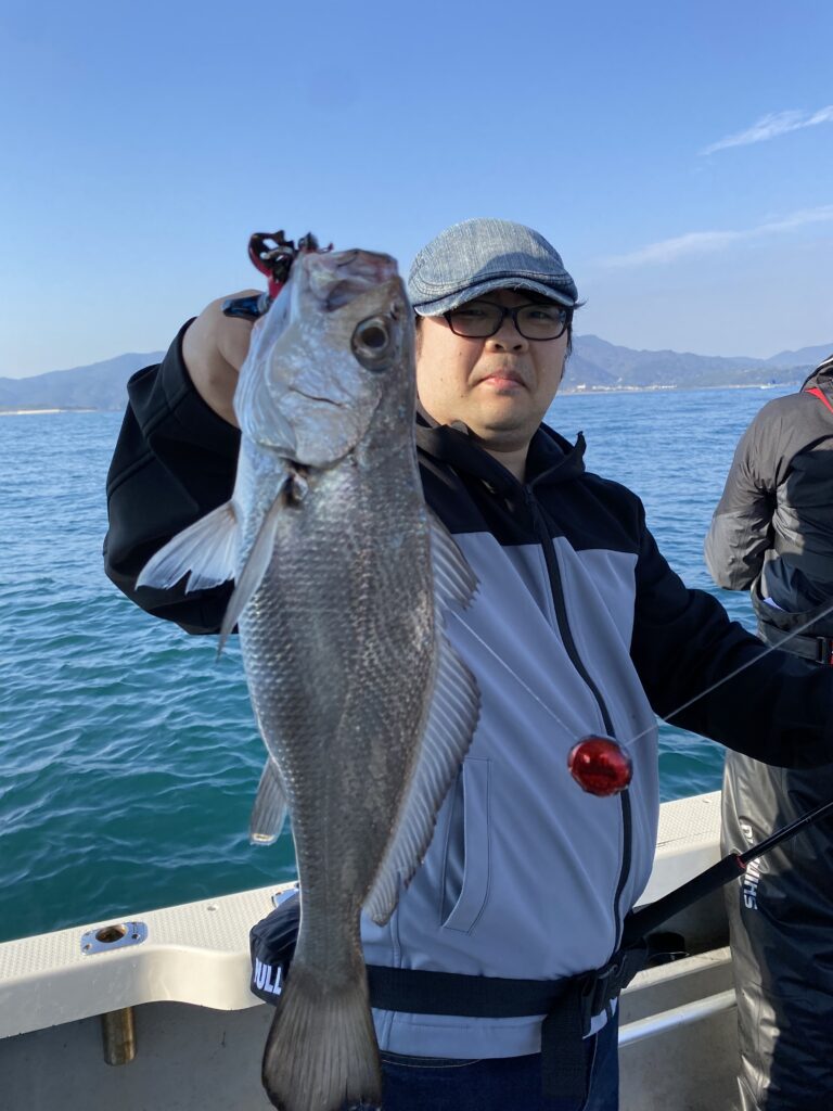 鯛ラバ便❣️