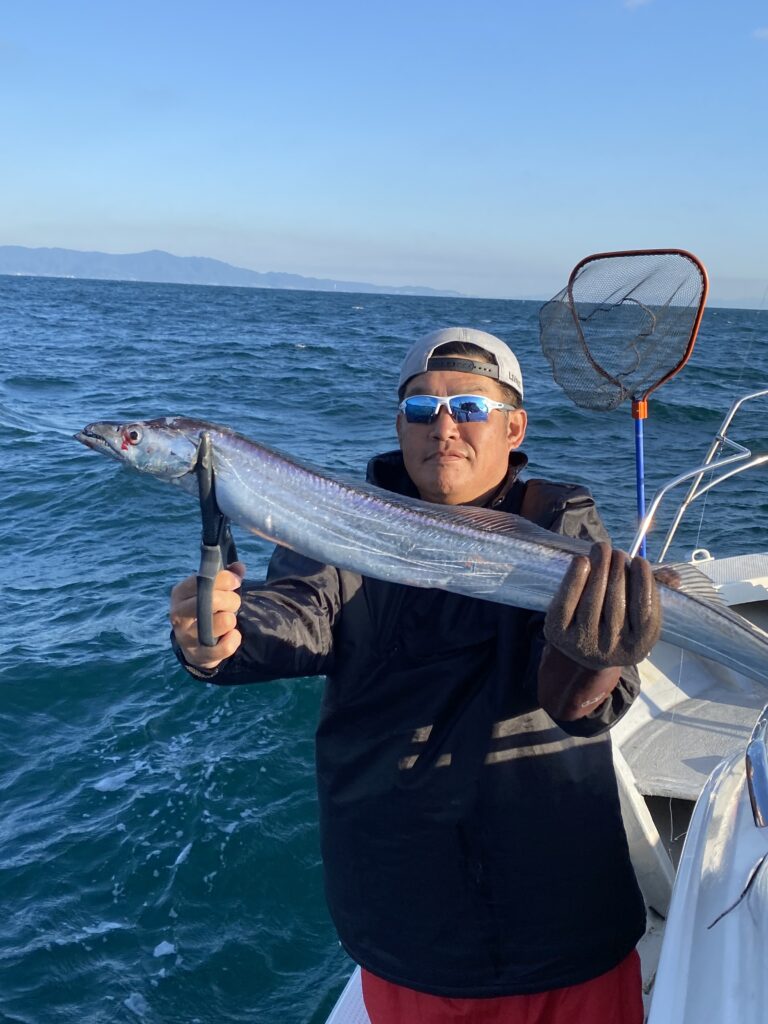 太刀魚便❣️