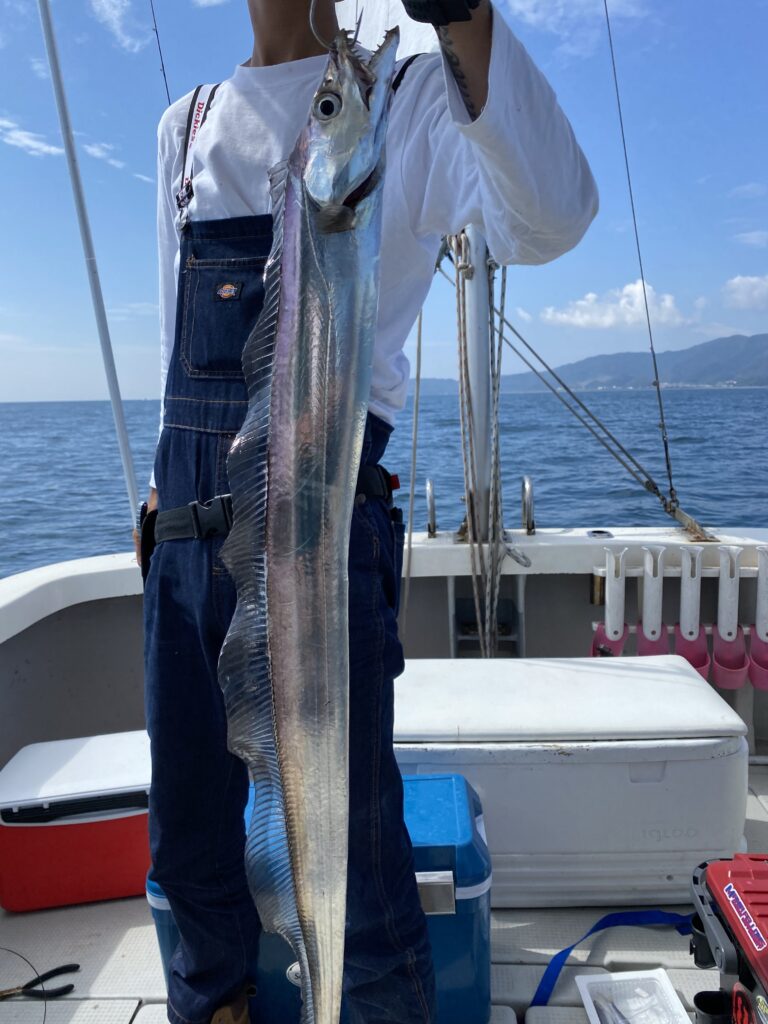 太刀魚ジギング&テンヤ便❣️