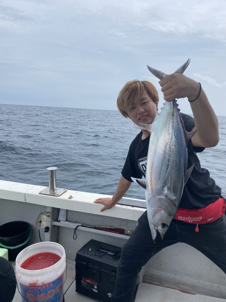 落とし込み便