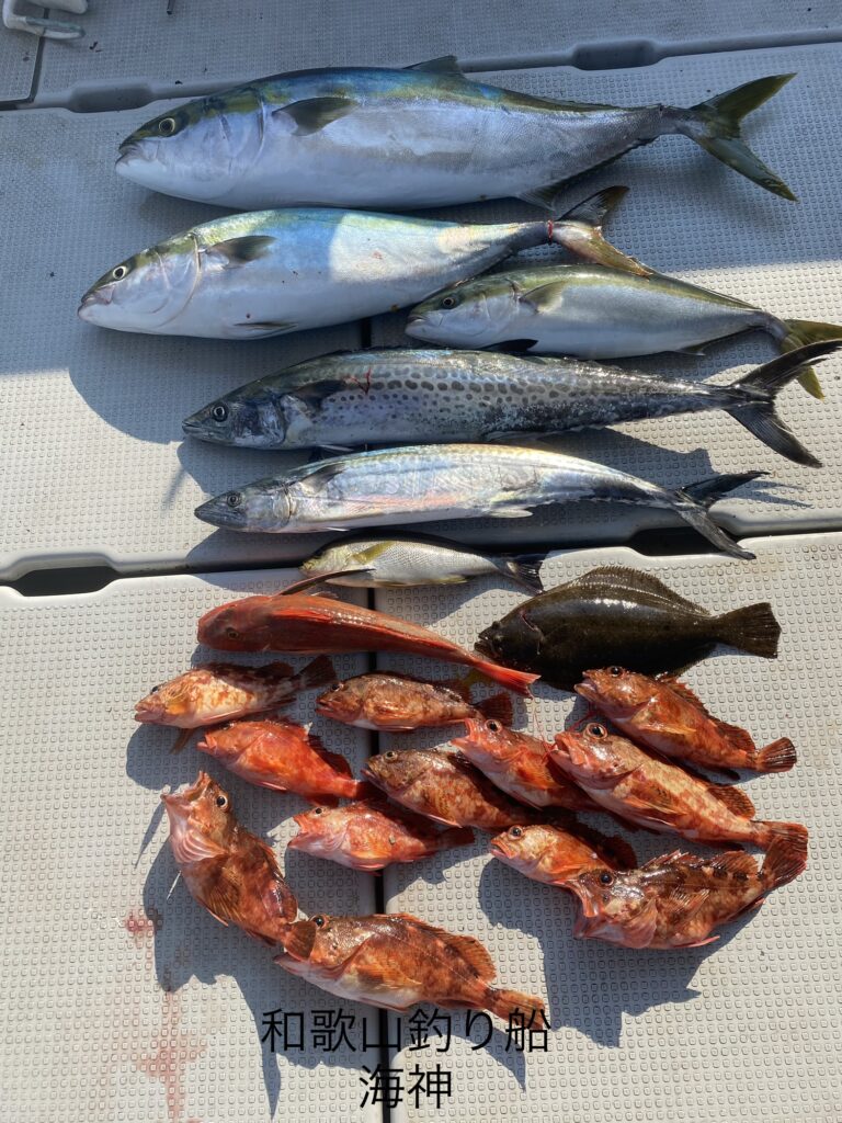 落とし込み便