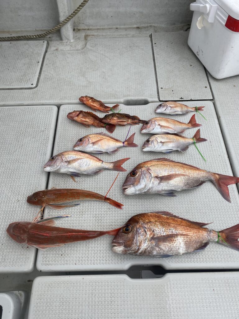 鯛ラバ便