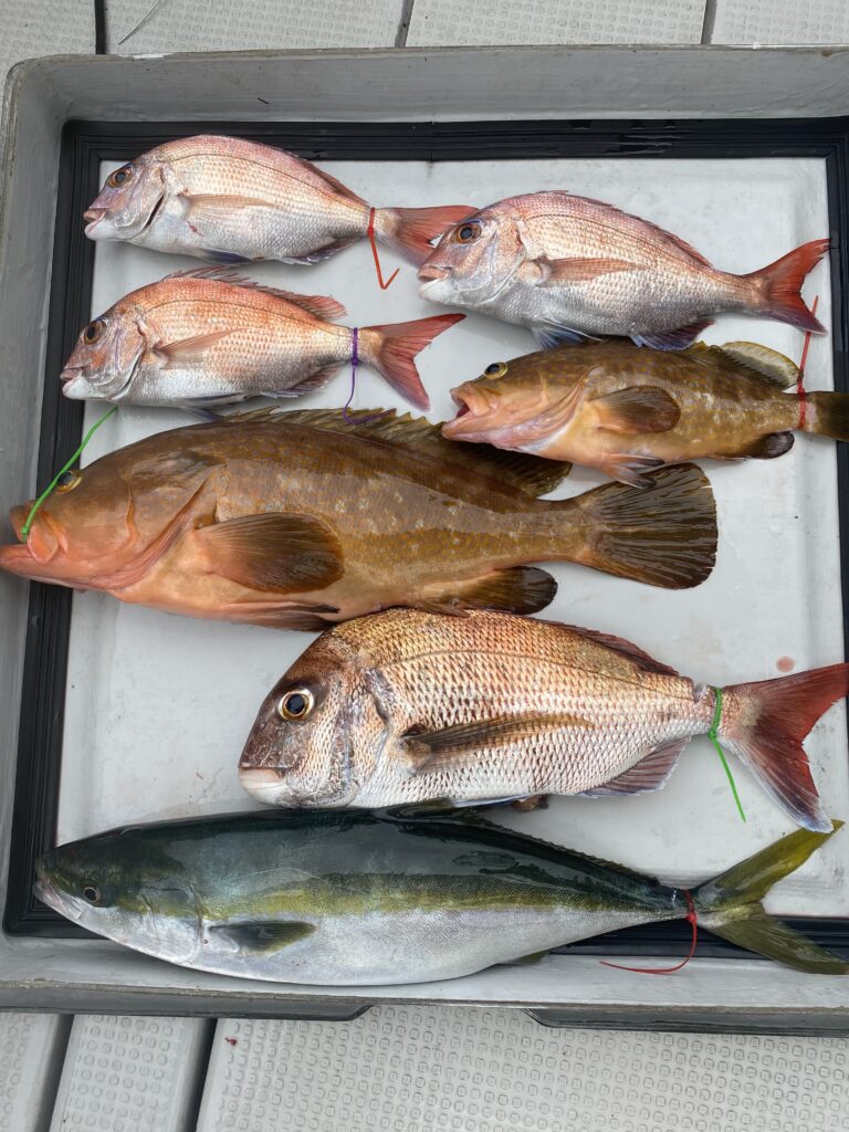 鯛ラバ便