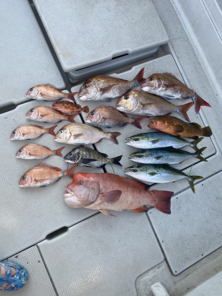 鯛ラバ