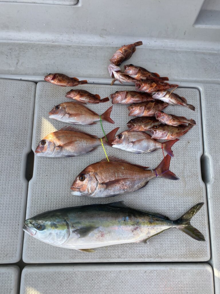 鯛ラバ