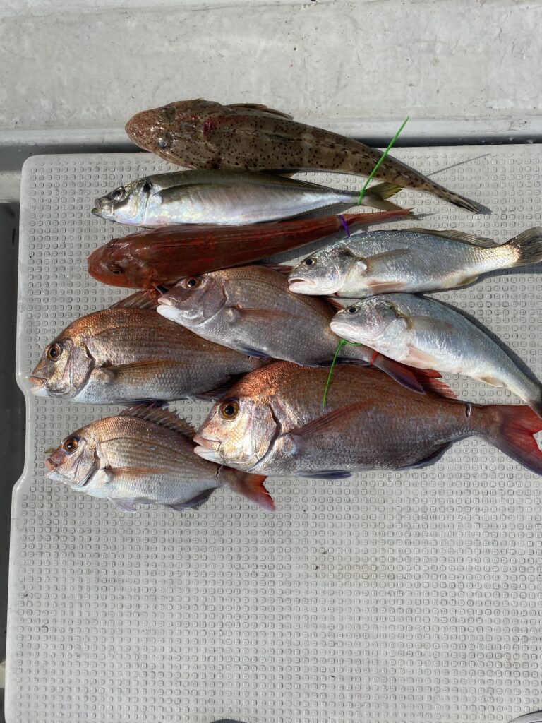 鯛ラバ