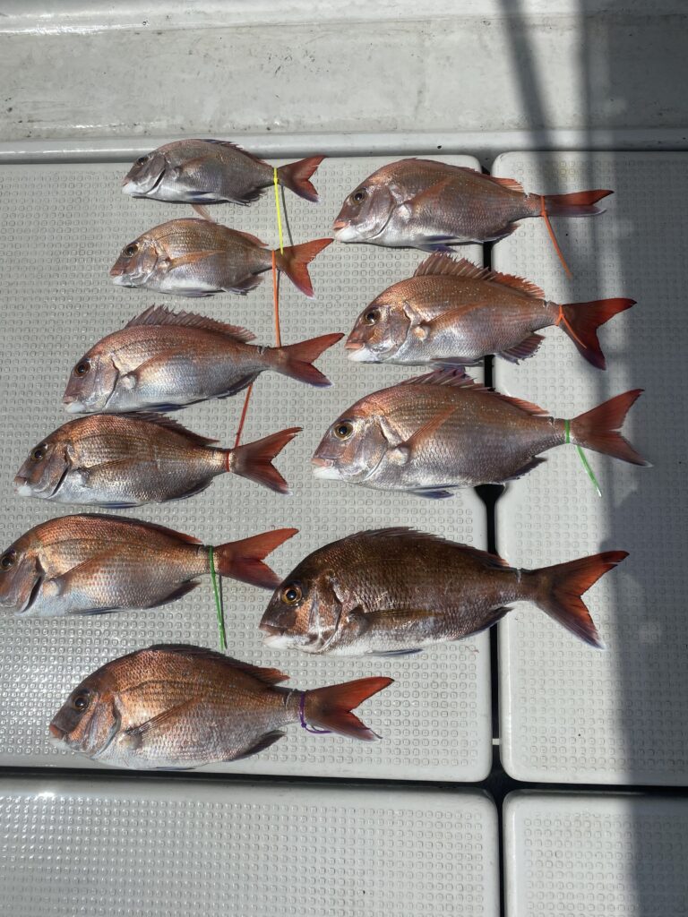 鯛ラバ 釣果乗せ忘れてました💧