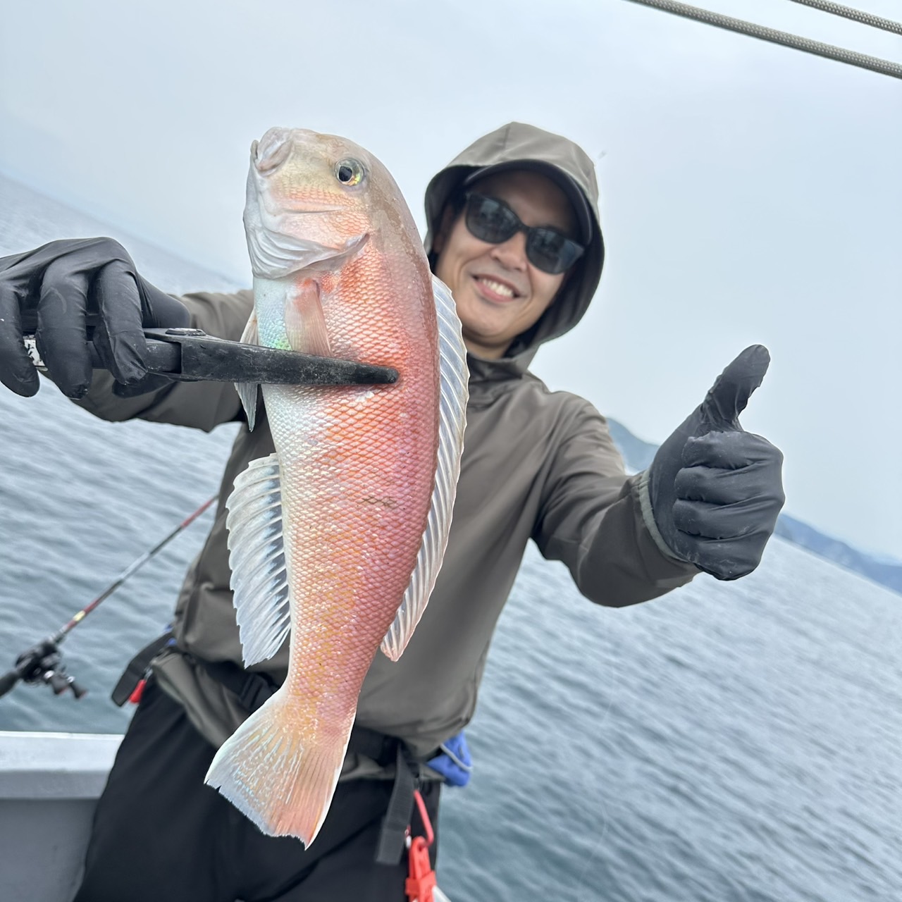 白甘鯛釣果❣️