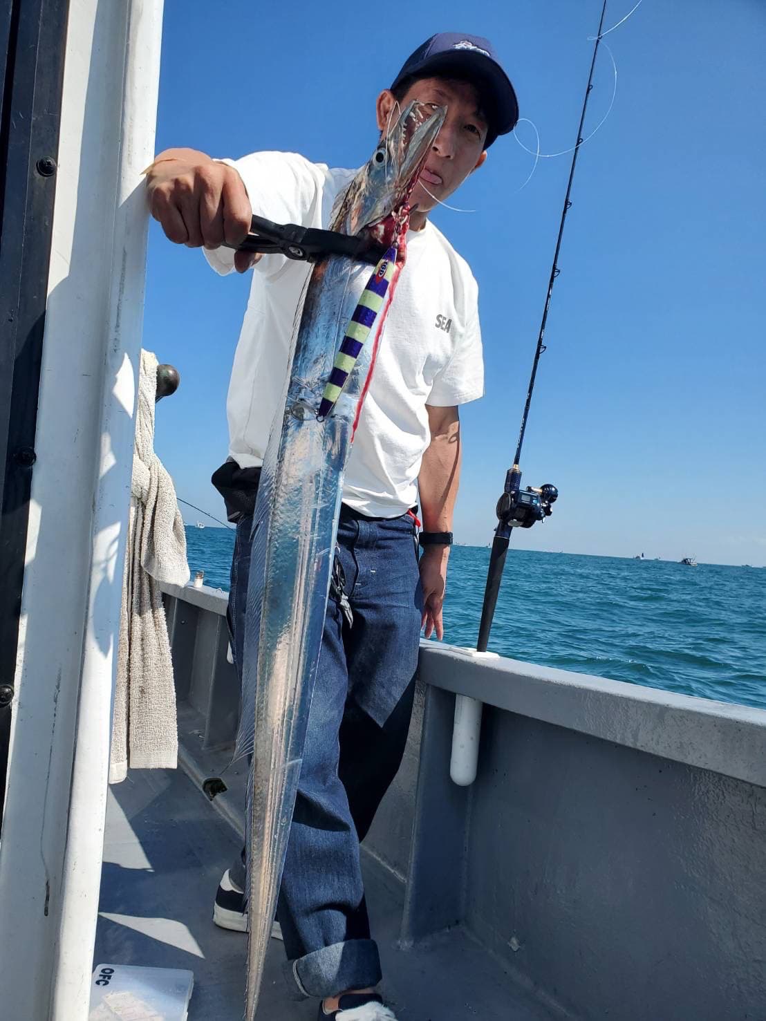 ティップラン&太刀魚リレー釣果